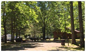 Wilsonville Recreation and Camping Area