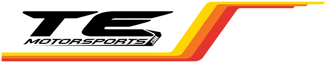 Logo for TE Motorsports. Black stylized text on a yellow, orange, and red gradient background.