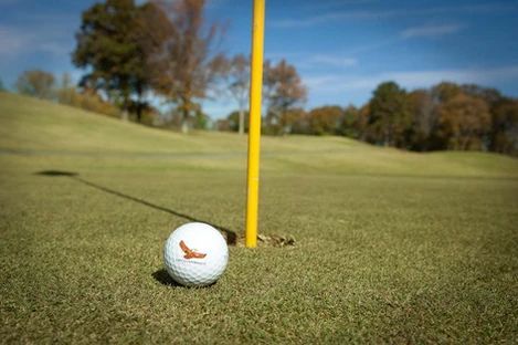 A golf ball is on the green next to a yellow pole.