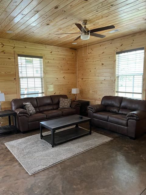 A living room with two couches