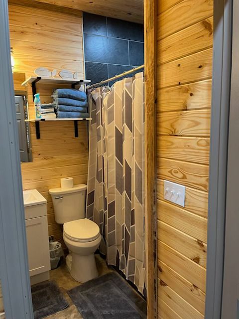 Cabin toilet
