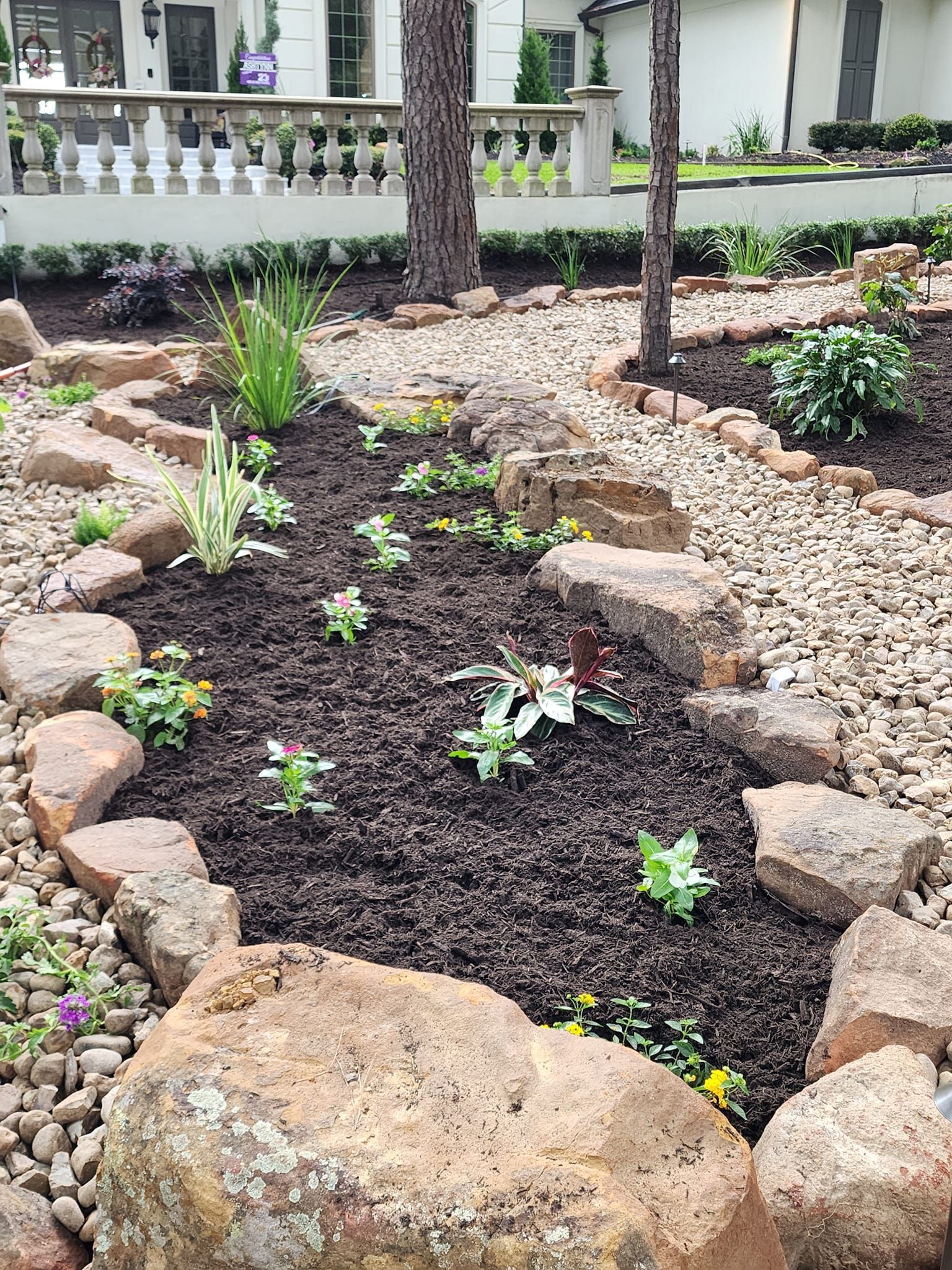 A garden with rocks and plants in front of a house
