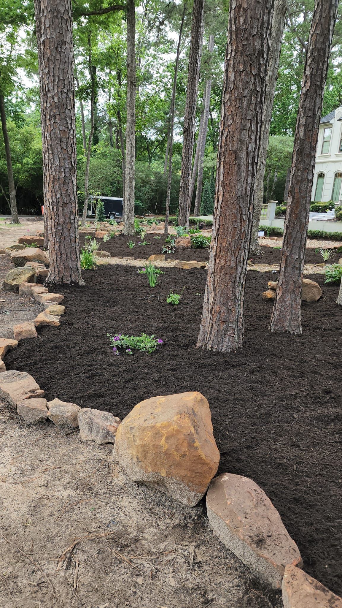 A garden with trees and rocks in the middle of it