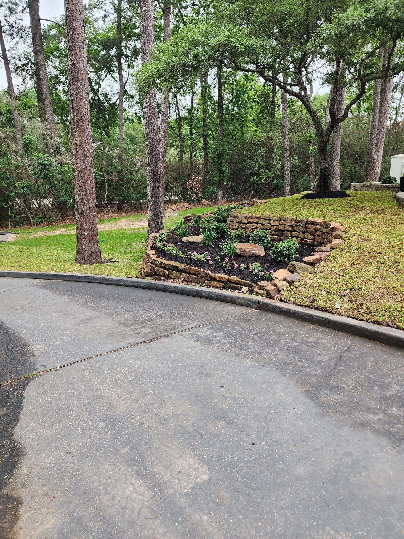 A driveway leading to a lush green forest with trees and bushes
