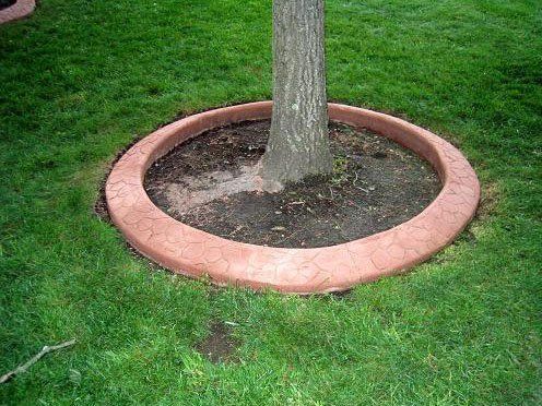 a tree is surrounded by a concrete border in the middle of a lush green field