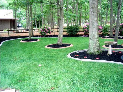 a lush green lawn with trees and bushes in the background