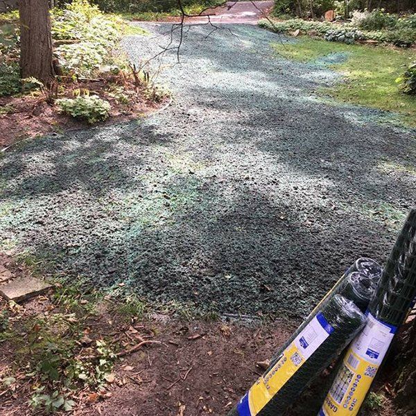 Hydro Seeding