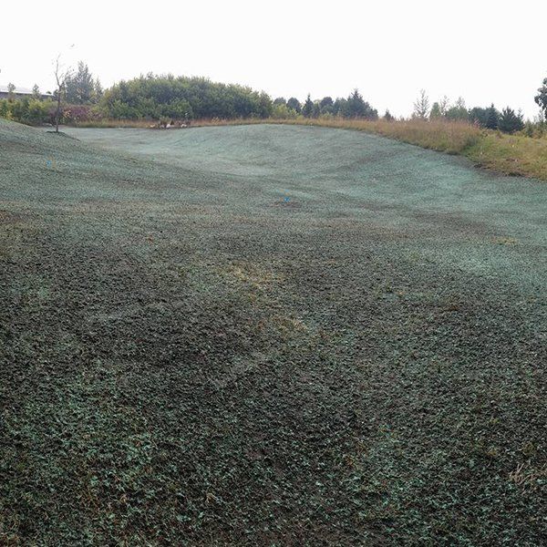 Hydro Seeding