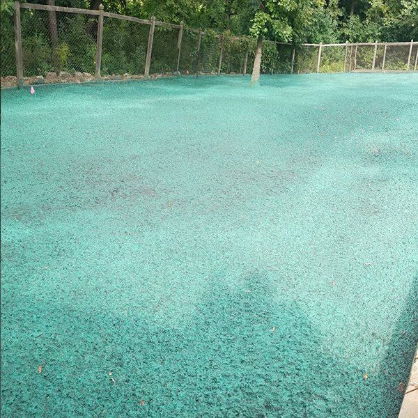 Hydro Seeding