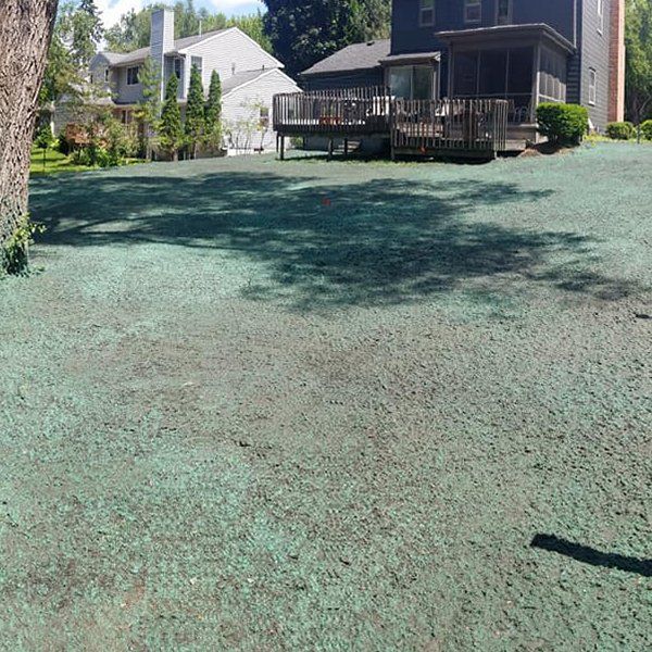 Hydro Seeding