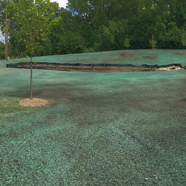 Hydro Seeding