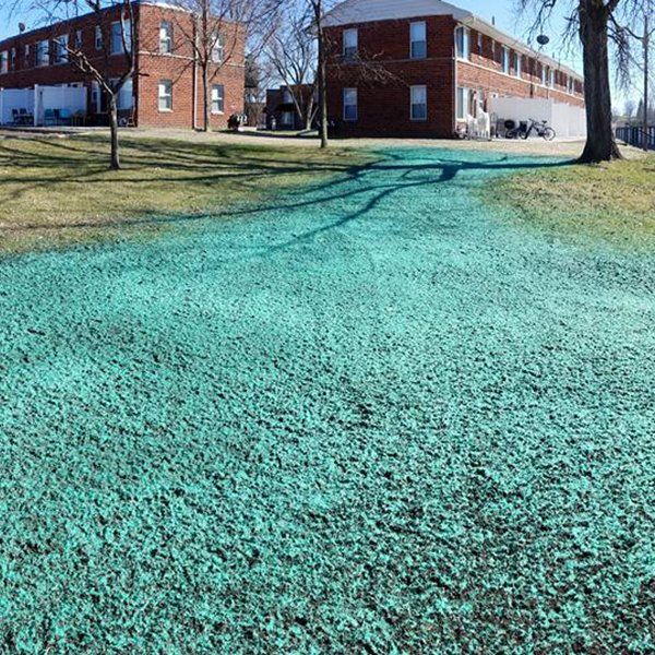 Hydro Seeding