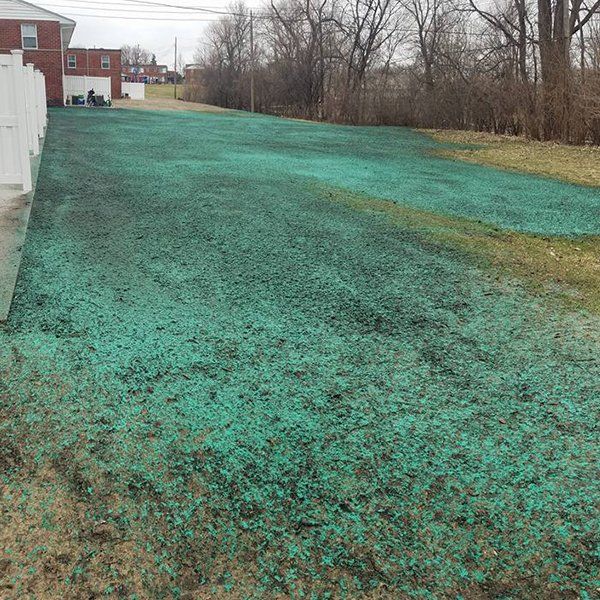 Hydro Seeding
