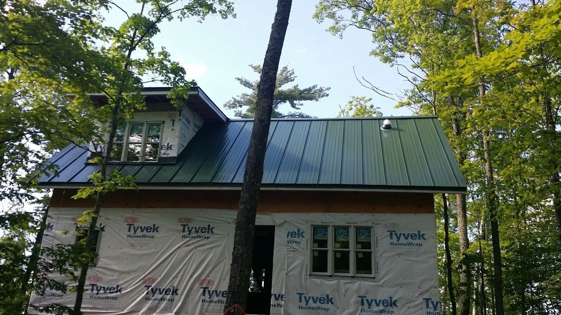 House with dark green metal roof under tall trees, with Tyvek wrap on the lower walls