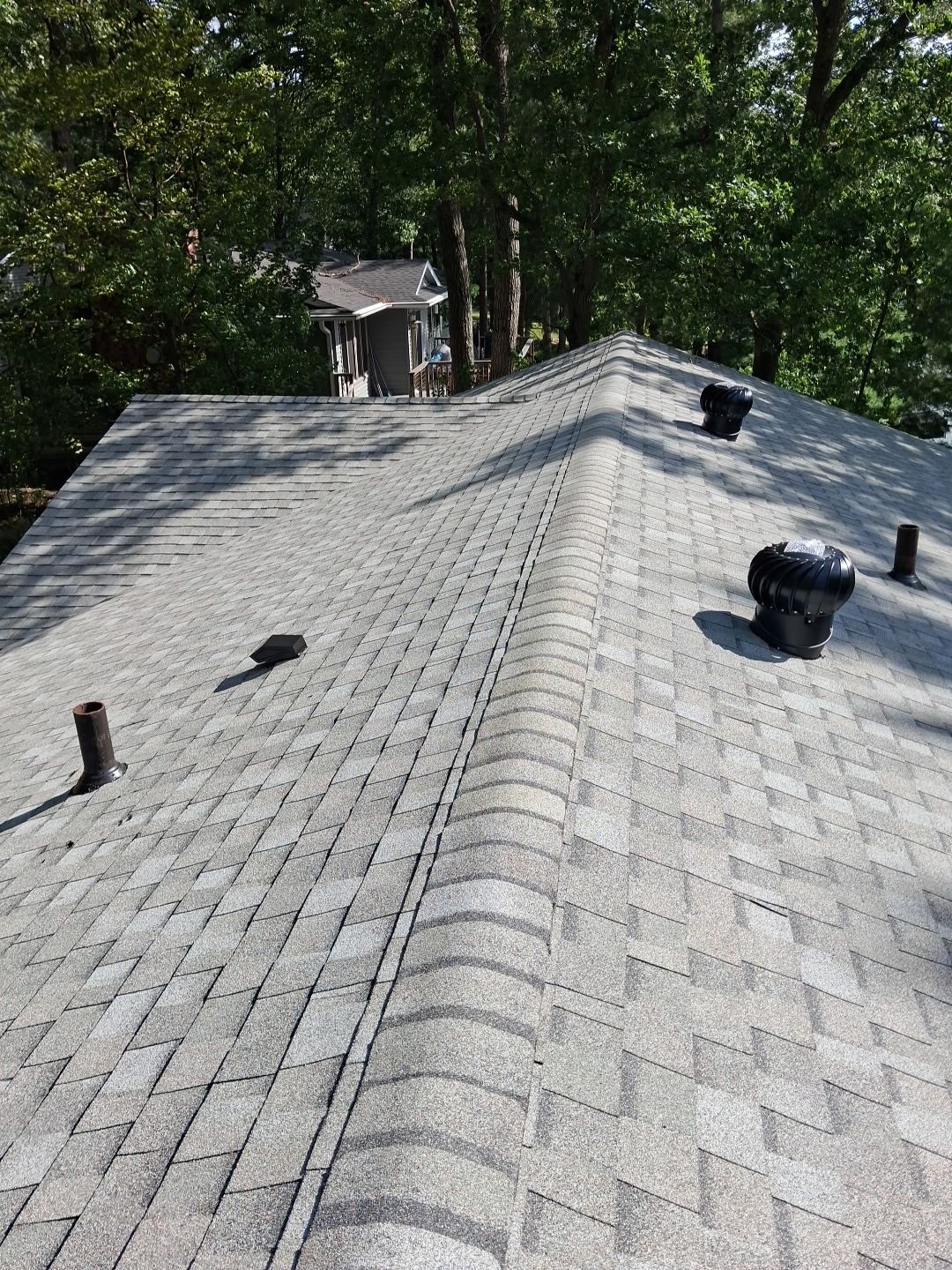 Shingled roof with vents and trees in the background