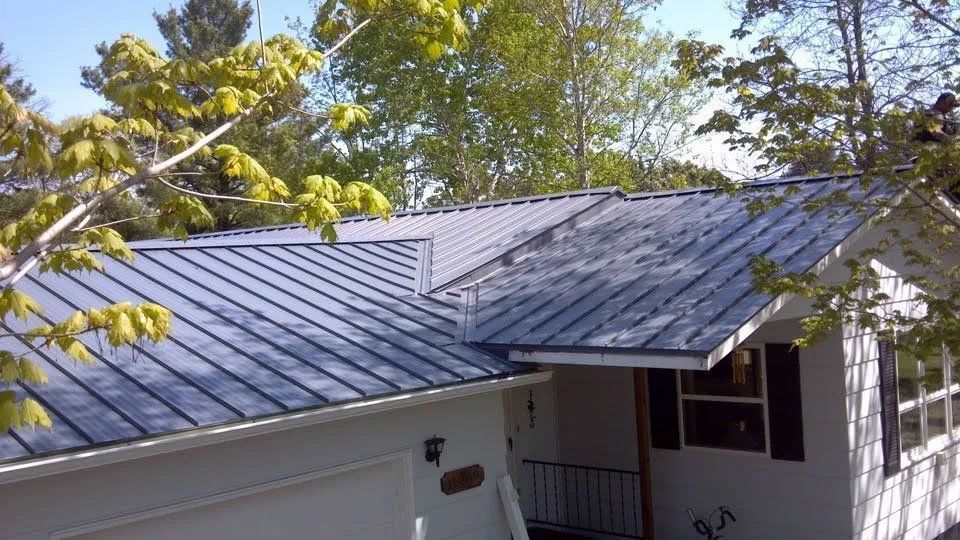House with a gray metal roof seen through tree branches