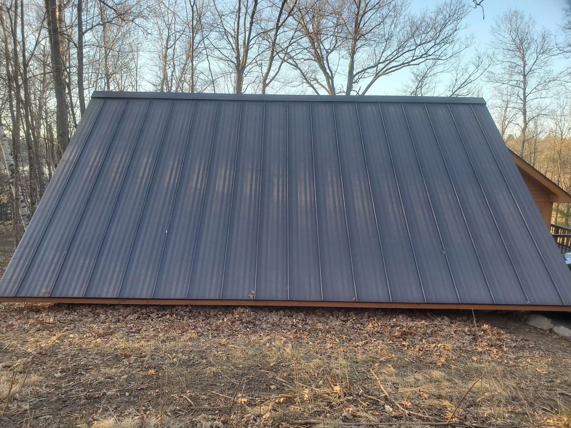 Dark gray metal roof on a small building, surrounded by leafless trees in a wooded area