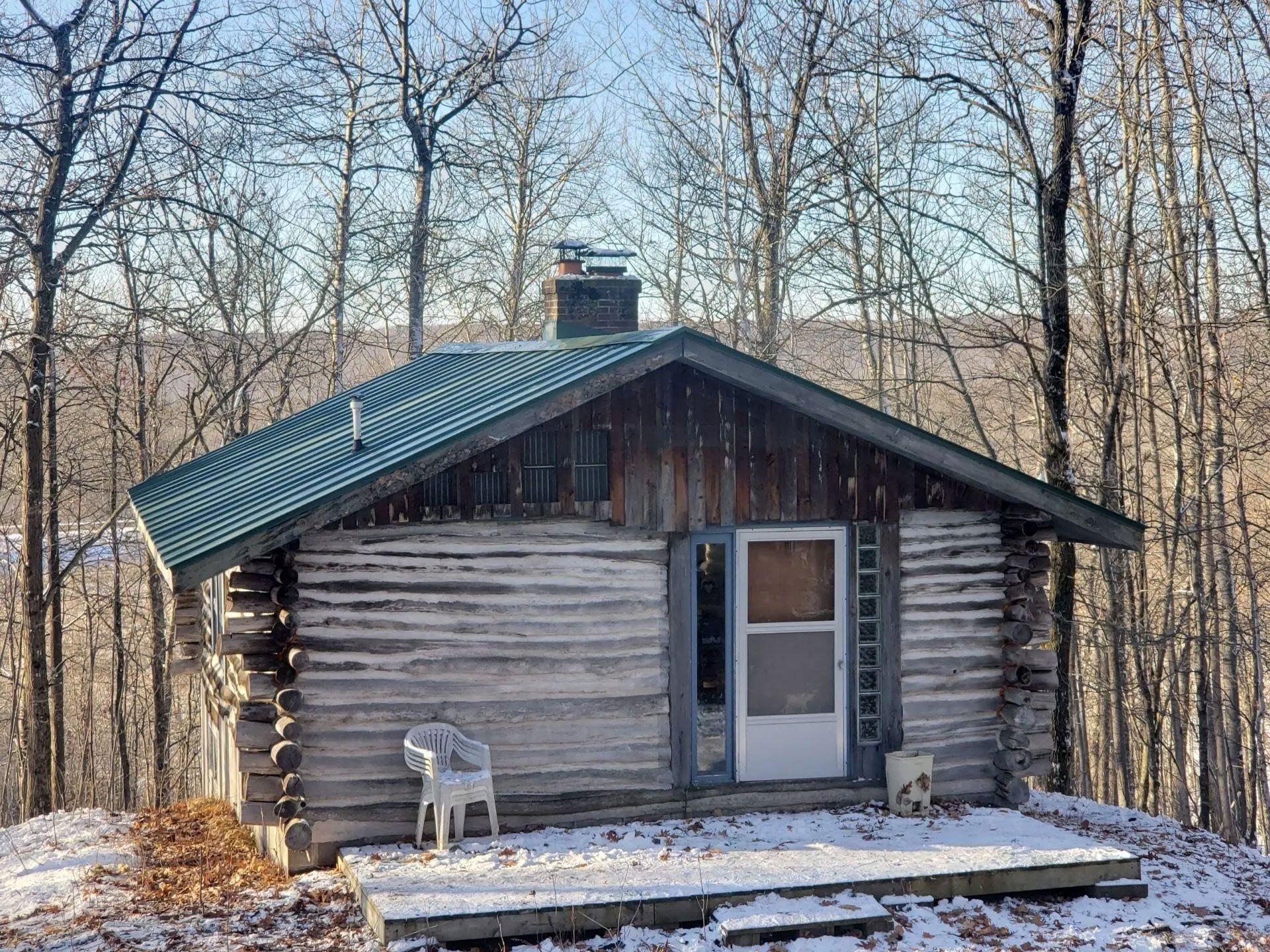 Small rustic log cabin with a green metal roof in a snowy wooded area, with a white dog standing outside the door