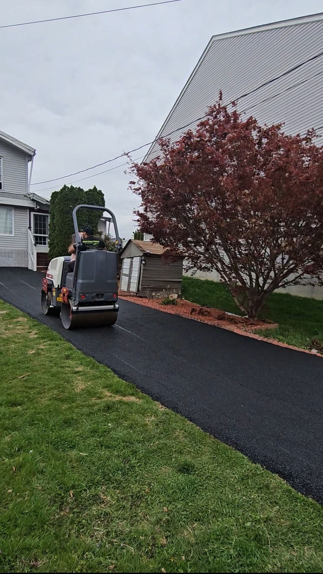 A ride-on asphalt roller flattens a freshly paved driveway next to a residential house and a small red-leafed tree.