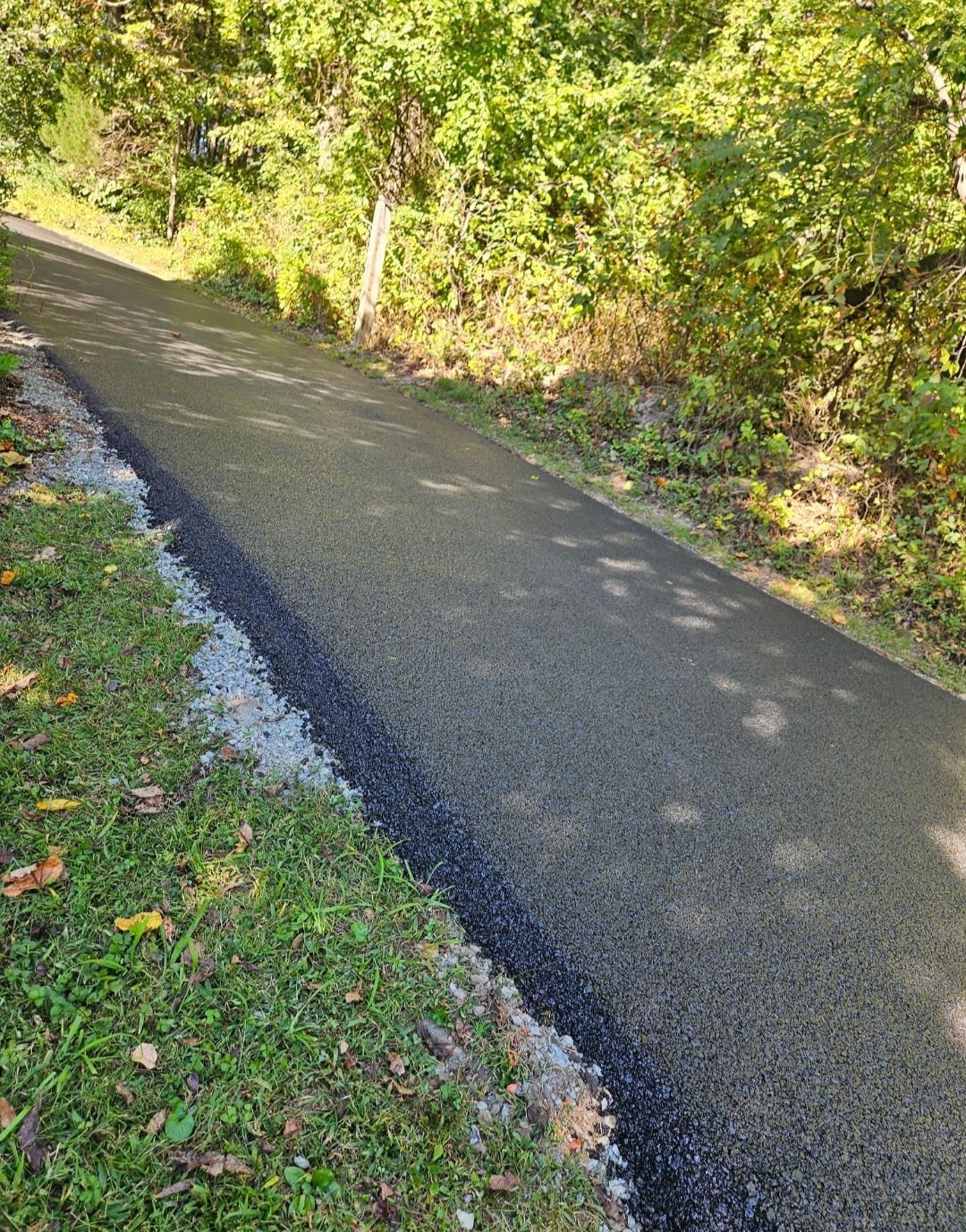 Asphalt path through a wooded area; green grass on the side.