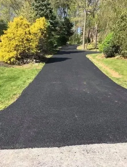 A freshly paved black asphalt driveway winding through a green residential yard with trees and shrubs.