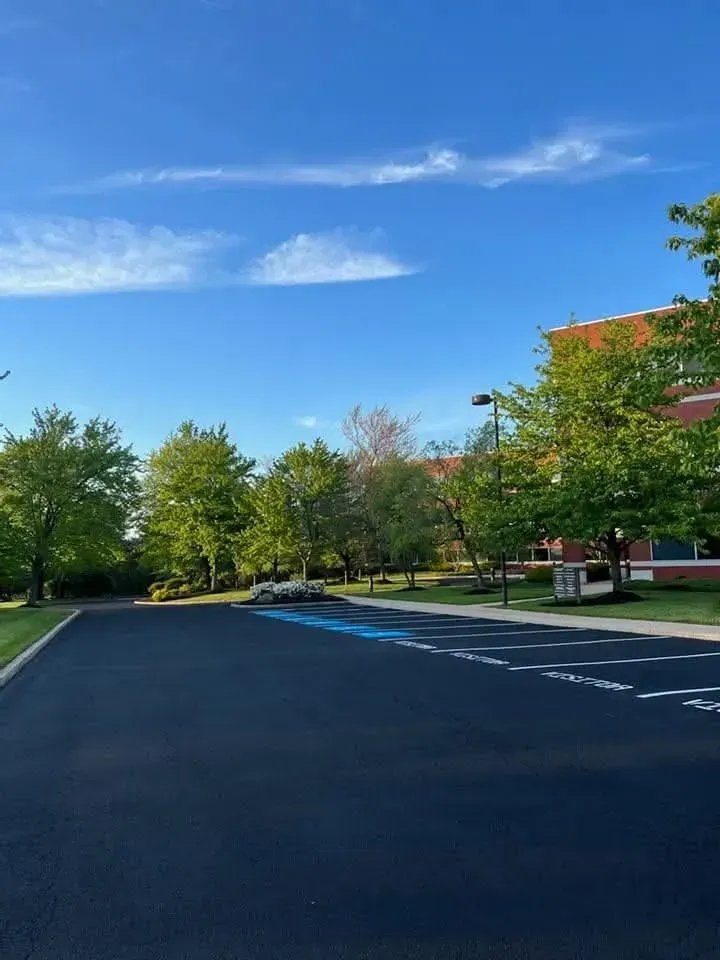An empty parking lot with a blue-painted handicap space under a bright blue sky, surrounded by lush green trees.