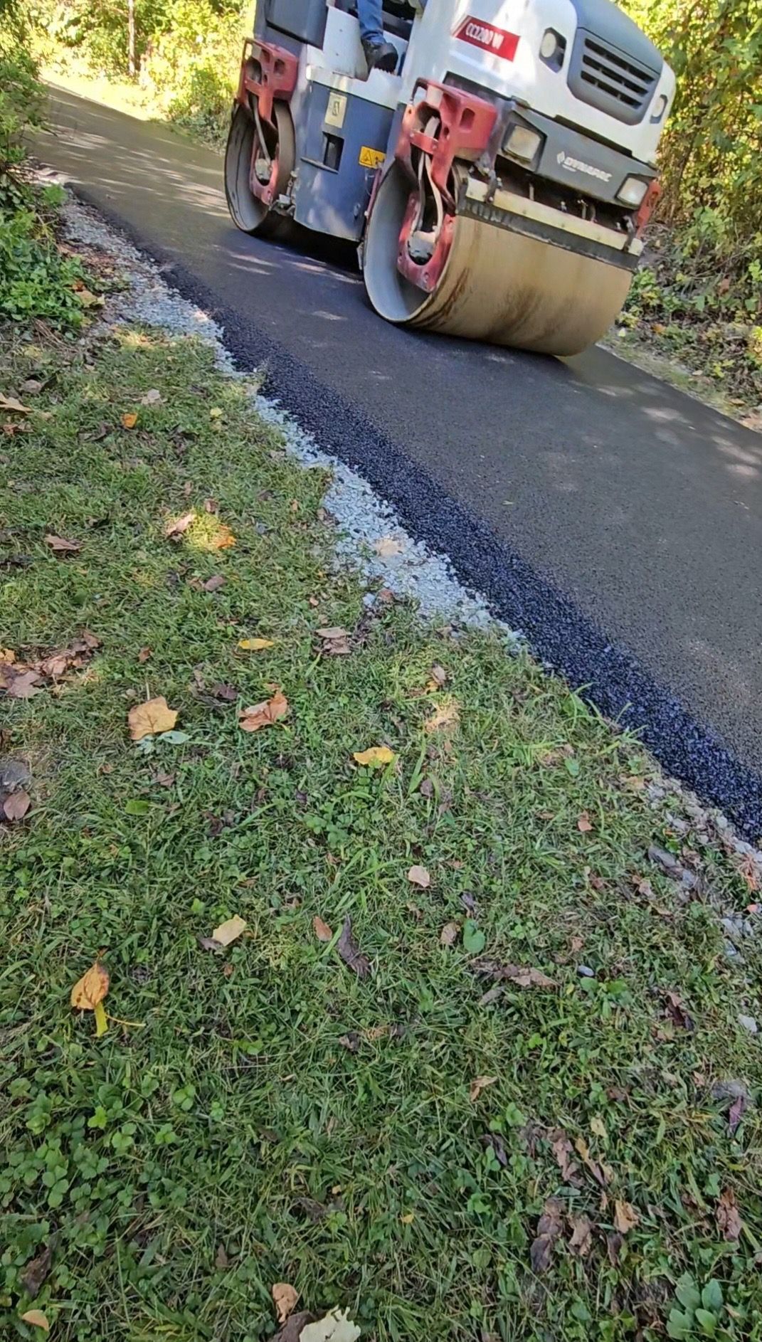 A white and red construction roller compacts fresh black asphalt on a path beside a grassy, leaf-covered area.