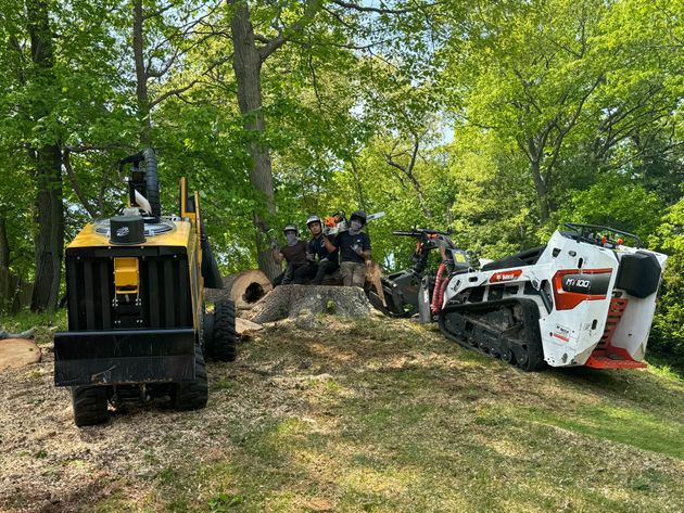 Two pieces of heavy machinery with a group of people at a tree stump, likely grinding it. Outdoors, forest setting.