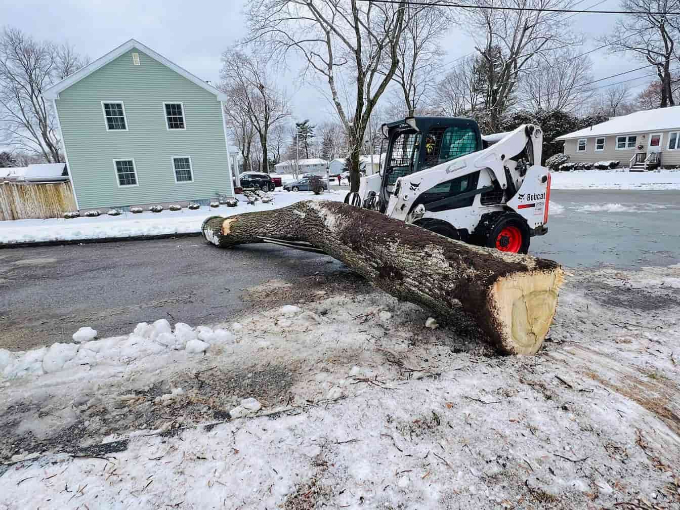 Bobcat skid steer moving a large tree trunk on a snow-covered street in front of a house.