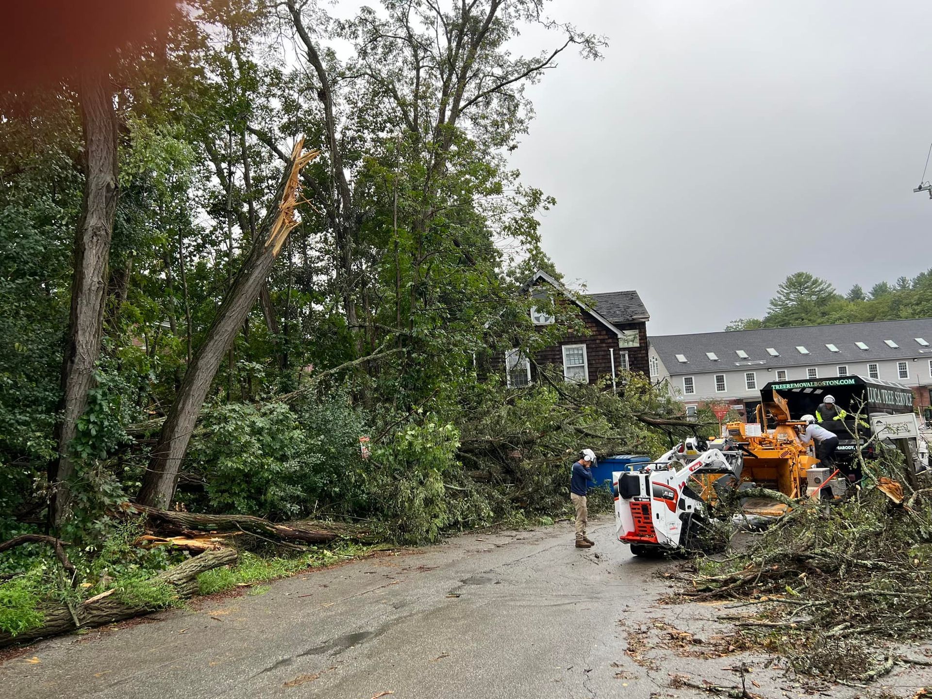 Road blocked by fallen trees after storm. Worker near machinery and debris, multi-story building in background.