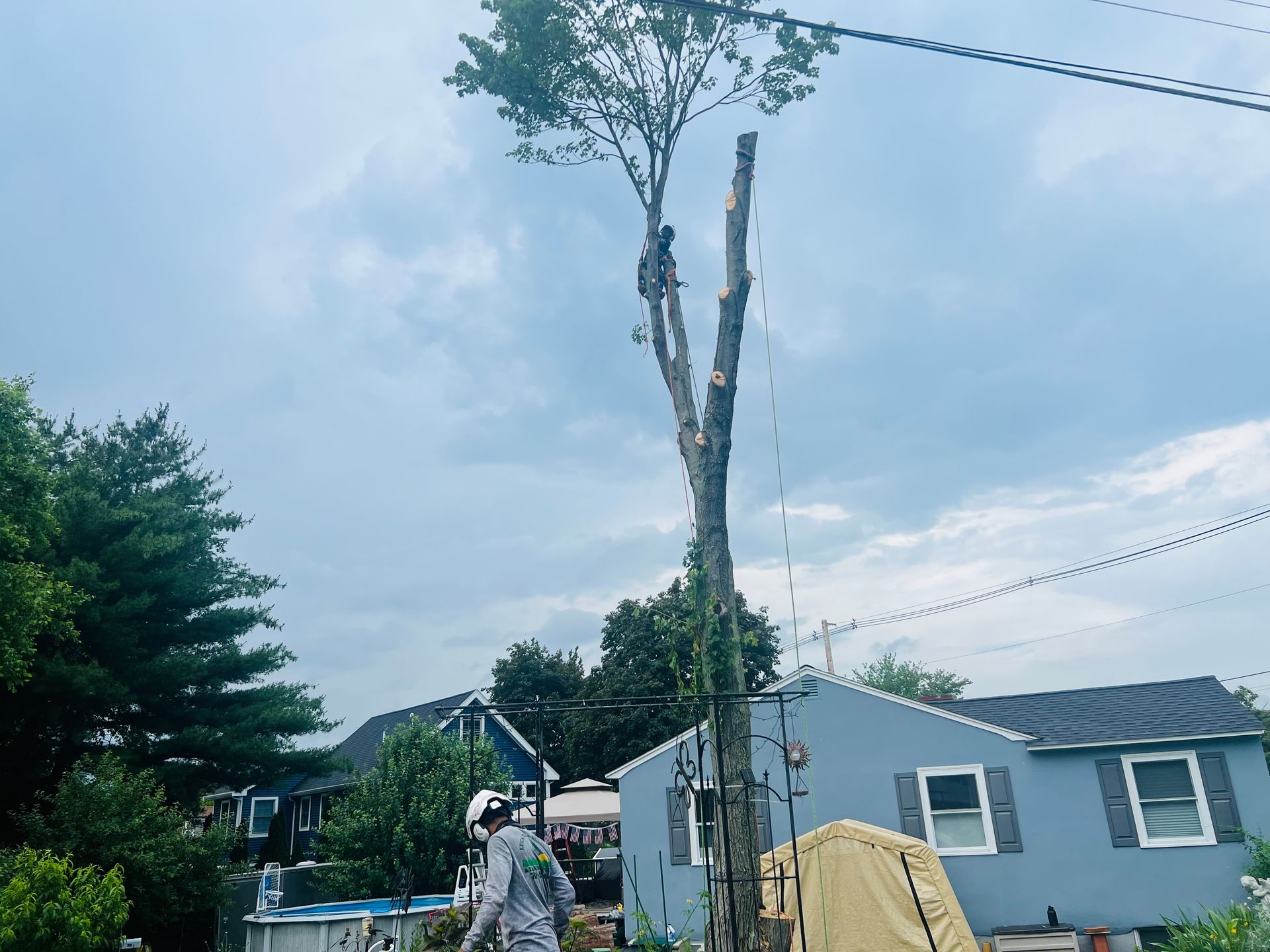 Tree trimming; worker in a tree, blue house, power lines, and cloudy sky.