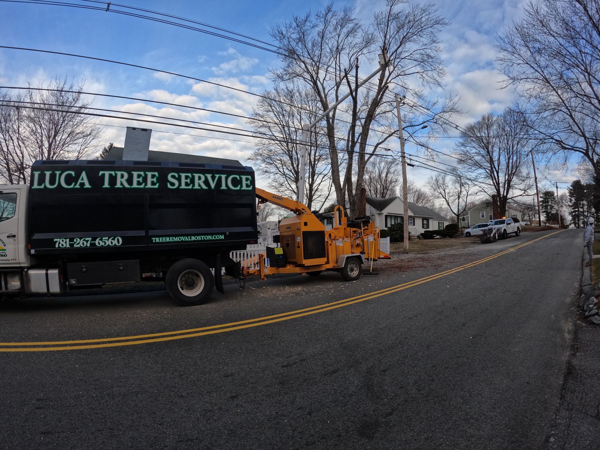 A tree service truck and wood chipper on a street, likely removing trees.