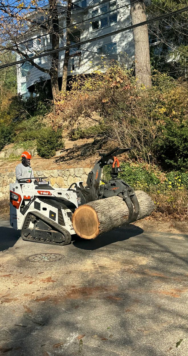 A Bobcat mini skid steer lifting a large tree log in a driveway. Person operating the machine, background includes a house and foliage.