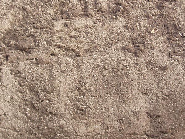 Screened Topsoil