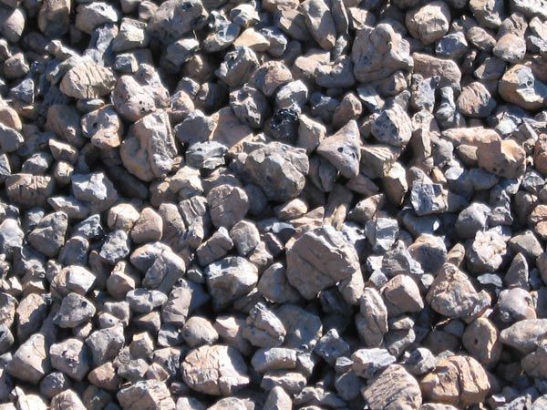Beechwood Pebbles / Barkstone
