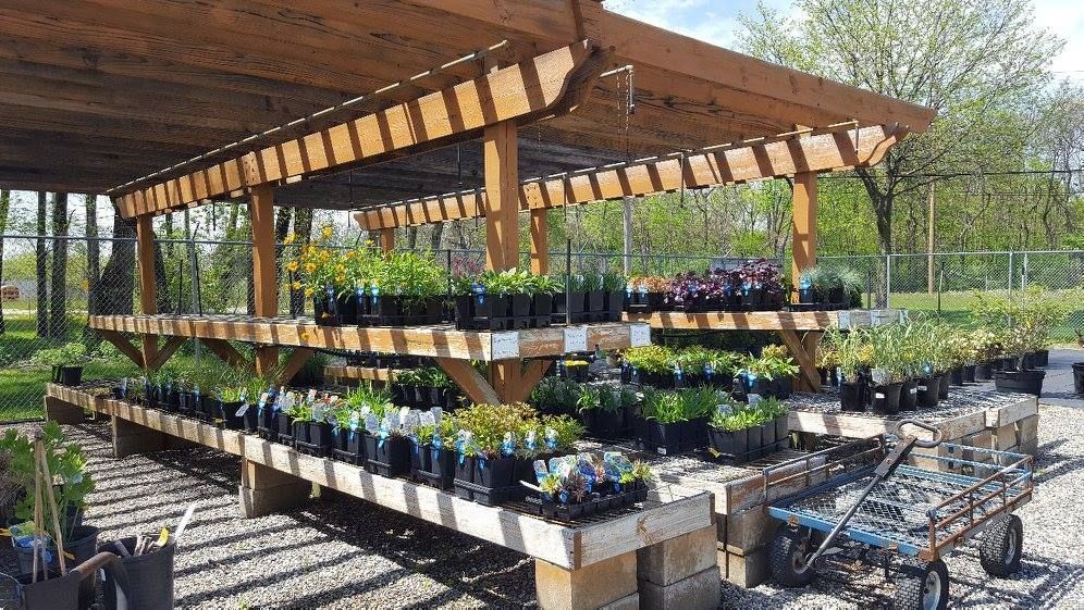 A garden center filled with lots of potted plants under a wooden pergola.