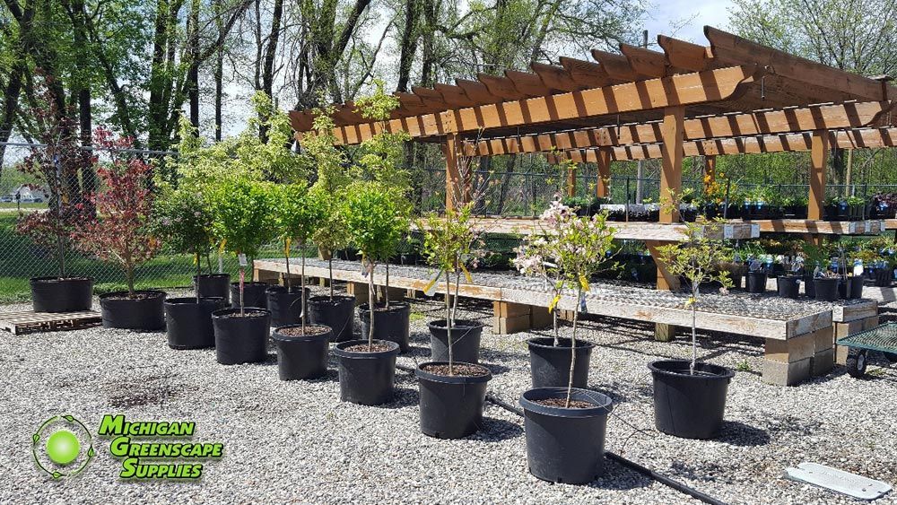 A bunch of potted plants are sitting under a pergola in a garden.