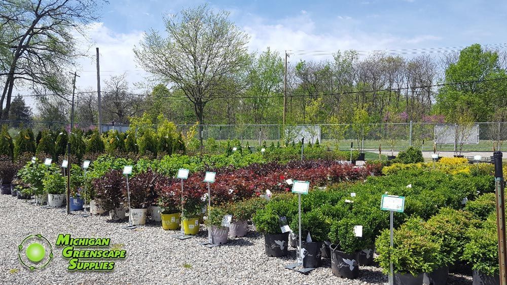 A garden center filled with lots of potted plants and trees.