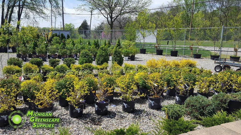 A garden filled with lots of potted plants and trees.