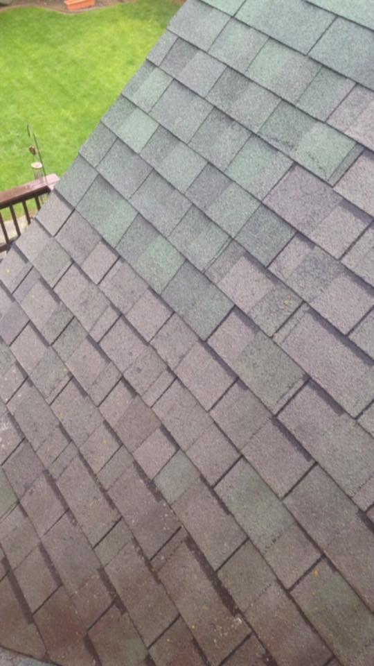 Shingles roof