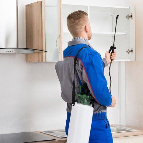 Pest control