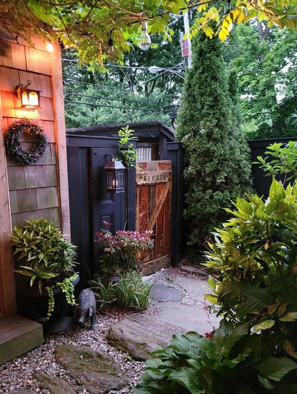 Cozy garden patio with warm lights, potted plants, a path, and a small black-and-white cat near the steps