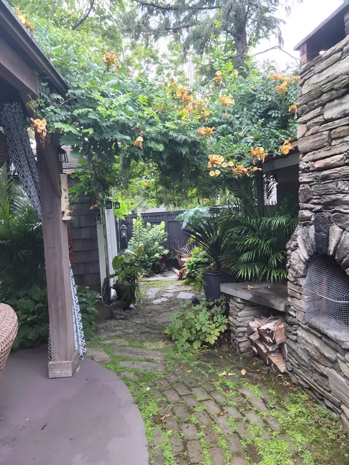 Stone courtyard garden with mossy path, lush greenery, and a vine-covered archway