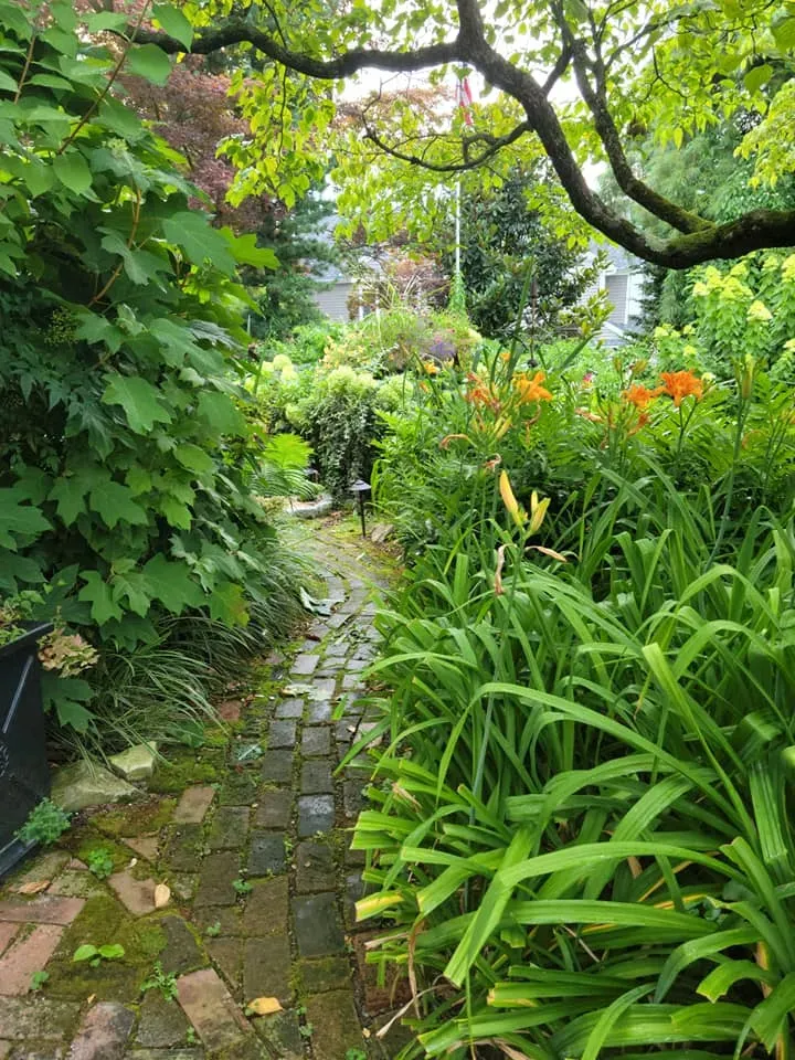 Mossy garden path beside lush green plants and orange flowers under arching tree branches