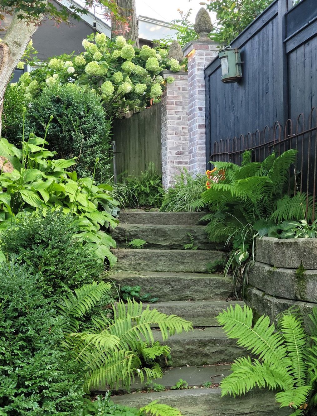 Stone steps leading through a lush green garden beside a dark wooden fence and brick wall.