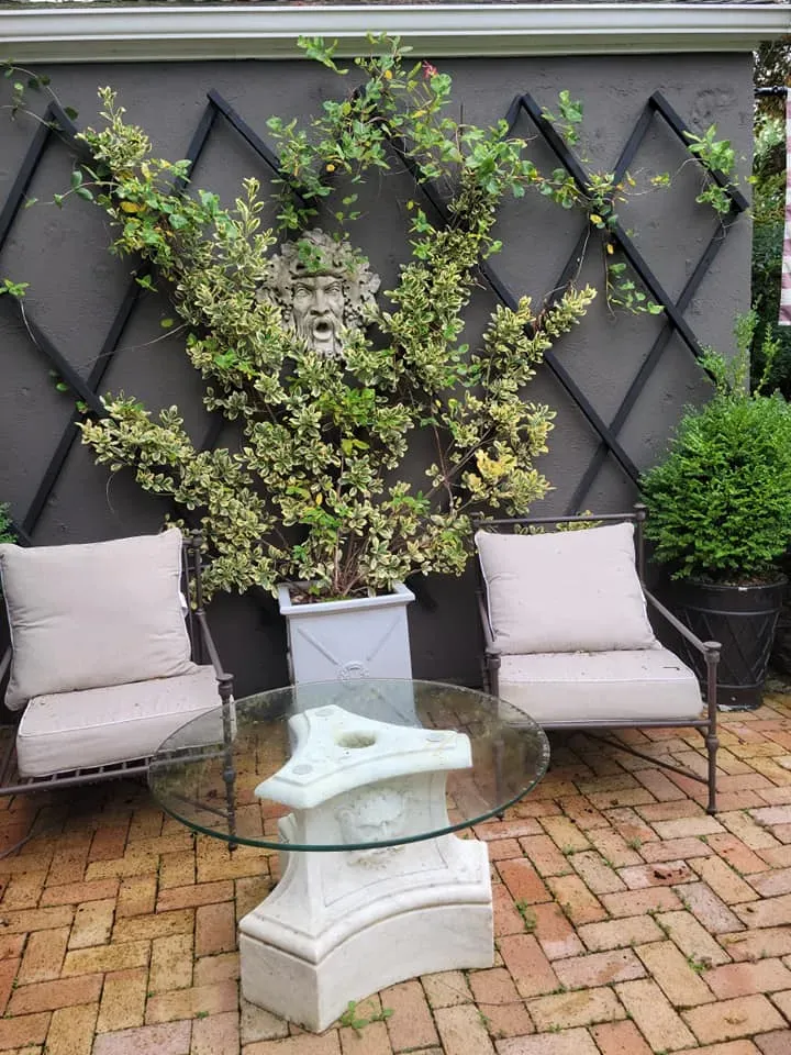 Two beige chairs and a glass table on a brick patio against a dark trellis with climbing greenery.