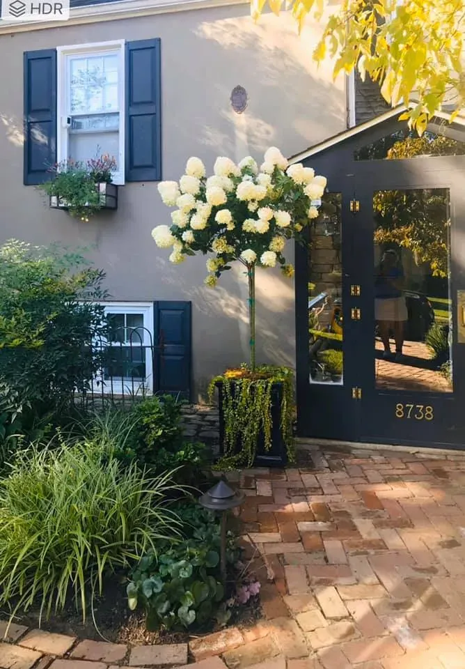 House entrance with black shutters, white flowers, and brick walkway