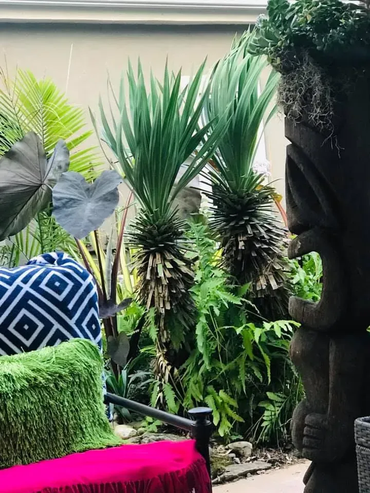 Tropical patio with tall spiky plants, black sculptural wall, and bright patterned cushions