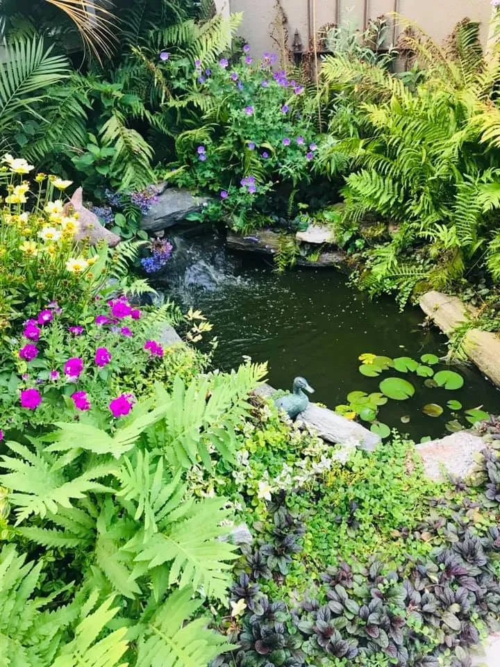 Lush garden pond with bright pink flowers, ferns, and lily pads surrounding dark water