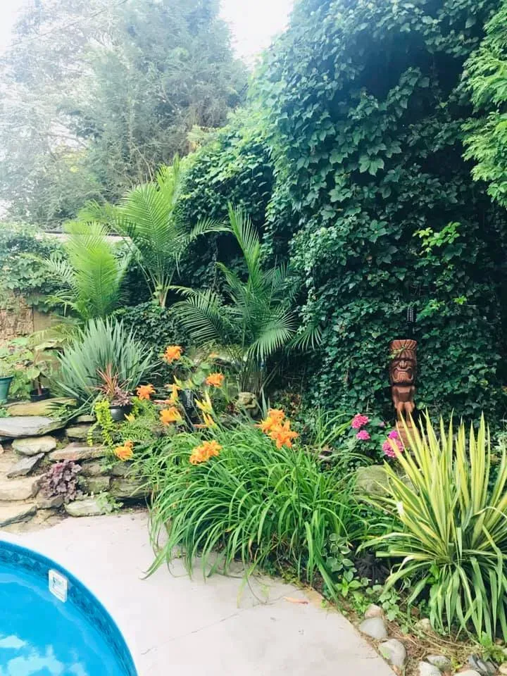 Lush tropical garden with orange flowers and a blue pool edge in the foreground